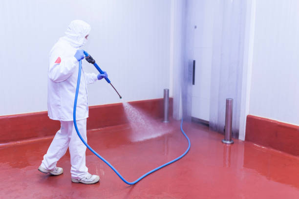 Best Restaurant Pressure Washing  in Lincroft, NJ